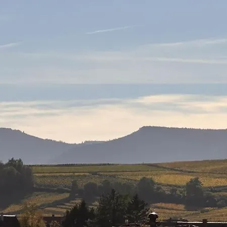 Au Coeur Du Vignoble/centre
