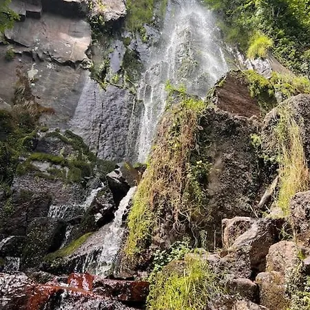 Au Coeur Du Vignoble/centre * Dorlisheim