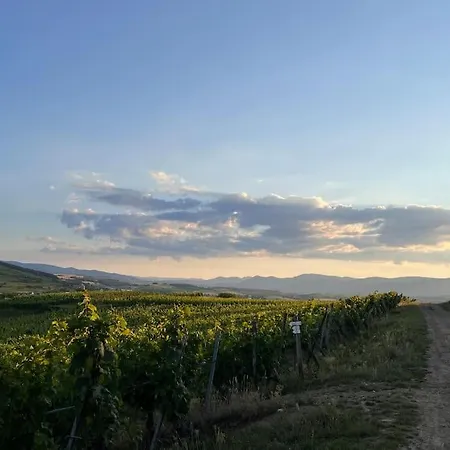 Au Coeur Du Vignoble/centre * Dorlisheim