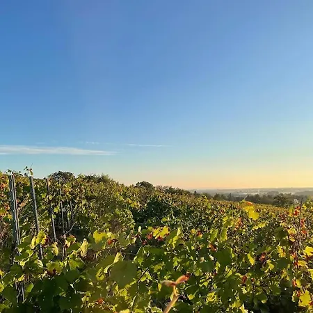 Au Coeur Du Vignoble/centre Apartment Dorlisheim