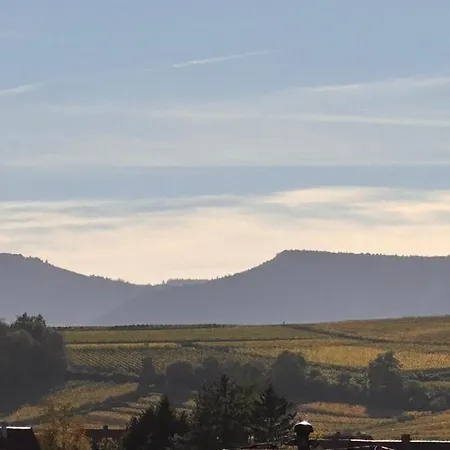 Au Coeur Du Vignoble/centre アパート *