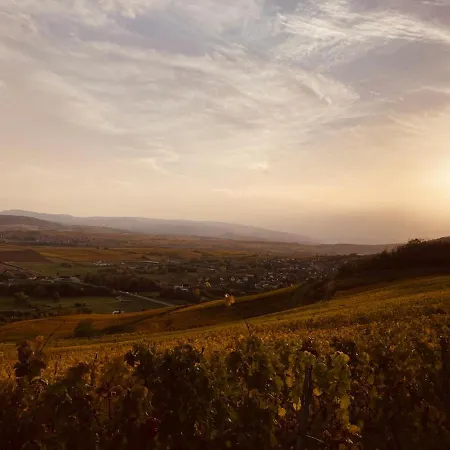 Apartment Au Coeur Du Vignoble/centre Dorlisheim