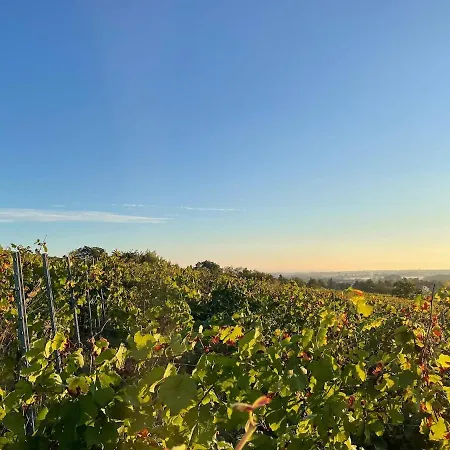 Apartment Au Coeur Du Vignoble/centre