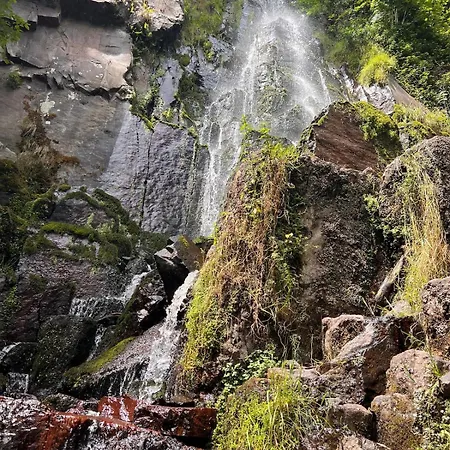 Au Coeur Du Vignoble/centre Dorlisheim